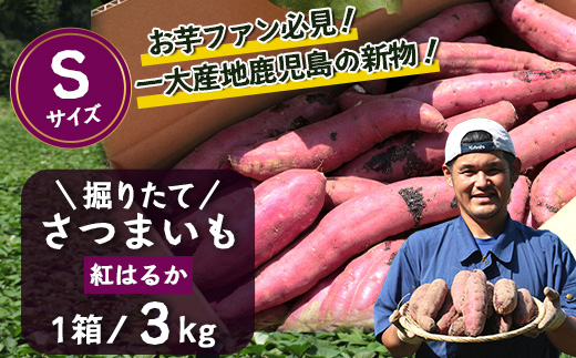 【先行予約：2026年9月中旬配送～】掘りたて さつまいも 紅はるか 3kg（Sサイズ）レシピ付き FR-201 | 秋の味覚 2026年秋収穫 新物 さつまいも サツマイモ 感動サツマイモ 焼き芋 べにはるか 小ぶり 野菜 おやつ おかず お弁当 煮物 芋ごはん 味噌汁 産地直送 鹿児島県 南大隅町 株式会社フォレスト