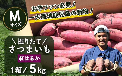 【先行予約：2026年9月中旬配送～】掘りたて さつまいも 紅はるか 5kg Mサイズ (おすそ分け袋／自宅で簡単レシピ付き）FR-204 | 秋の味覚 2026年秋収穫 新物 さつまいも サツマイモ 感動サツマイモ 焼き芋 べにはるか 使いやすい 野菜 おやつ おかず お弁当 煮物 芋ごはん 味噌汁 産地直送 鹿児島県 南大隅町 株式会社フォレスト
