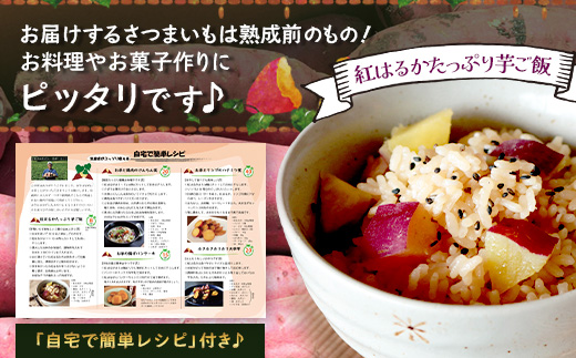 【訳あり！】【期間限定！数量限定！】掘りたて さつまいも 紅はるか 5kg (自宅で簡単レシピ付き）FR-207 | 秋の味覚 2026年秋収穫 サイズランダム 家庭用 新物 さつまいも サツマイモ 感動サツマイモ 焼き芋 べにはるか 野菜 おやつ おかず お弁当 煮物 芋ごはん 味噌汁 産地直送 鹿児島県 南大隅町 株式会社フォレスト