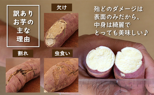 【訳あり！】【期間限定！数量限定！】掘りたて さつまいも 紅はるか 5kg (自宅で簡単レシピ付き）FR-207 | 秋の味覚 2026年秋収穫 サイズランダム 家庭用 新物 さつまいも サツマイモ 感動サツマイモ 焼き芋 べにはるか 野菜 おやつ おかず お弁当 煮物 芋ごはん 味噌汁 産地直送 鹿児島県 南大隅町 株式会社フォレスト