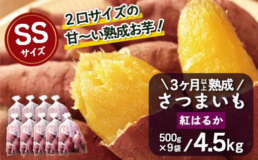 【先行予約：2027年1月上旬配送～】熟成 さつまいも 紅はるか 4.5kg (500g×9袋) SSサイズ FR-302 ｜ 秋の味覚 2026年秋収穫 貯蔵 長期熟成 糖化 さつまいも サツマイモ 感動サツマイモ 焼き芋 べにはるか 小ぶり 野菜 ねっとり 濃厚 おやつ おかず お弁当 煮物 芋ごはん 味噌汁 産地直送 鹿児島県 南大隅町 株式会社フォレスト