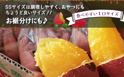 【先行予約：2027年1月上旬配送～】熟成 さつまいも 紅はるか 4.5kg (500g×9袋) SSサイズ FR-302 ｜ 秋の味覚 2026年秋収穫 貯蔵 長期熟成 糖化 さつまいも サツマイモ 感動サツマイモ 焼き芋 べにはるか 小ぶり 野菜 ねっとり 濃厚 おやつ おかず お弁当 煮物 芋ごはん 味噌汁 産地直送 鹿児島県 南大隅町 株式会社フォレスト