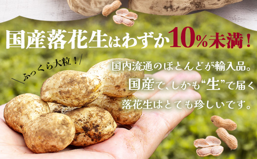 【先行予約】食べ応え抜群の大粒落花生「おおまさり」500g袋×２袋≪数量限定≫　FR-311 ｜鹿児島県産 野菜 やさい 食品 人気 おすすめ 送料無料 落花生 おおまさり 産地直送 新鮮 南大隅町