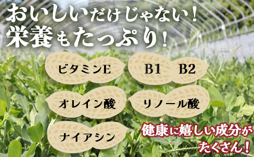 【先行予約】食べ応え抜群の大粒落花生「おおまさり」500g袋×２袋≪数量限定≫　FR-311 ｜鹿児島県産 野菜 やさい 食品 人気 おすすめ 送料無料 落花生 おおまさり 産地直送 新鮮 南大隅町