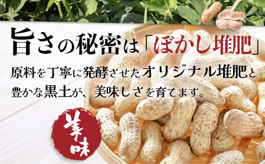 【先行予約】食べ応え抜群の大粒落花生「おおまさり」500g袋×２袋≪数量限定≫　FR-311 ｜鹿児島県産 野菜 やさい 食品 人気 おすすめ 送料無料 落花生 おおまさり 産地直送 新鮮 南大隅町