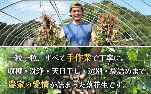 【先行予約】食べ応え抜群の大粒落花生「おおまさり」500g袋×２袋≪数量限定≫　FR-311 ｜鹿児島県産 野菜 やさい 食品 人気 おすすめ 送料無料 落花生 おおまさり 産地直送 新鮮 南大隅町