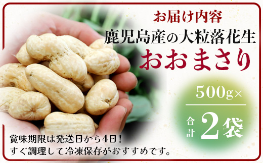 【先行予約】食べ応え抜群の大粒落花生「おおまさり」500g袋×２袋≪数量限定≫　FR-311 ｜鹿児島県産 野菜 やさい 食品 人気 おすすめ 送料無料 落花生 おおまさり 産地直送 新鮮 南大隅町