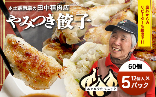 《リピーター続出！》佐多の田中肉屋 ニンニクたっぷりやみつき餃子 60個 (12個入り×5パック) TA-401 | ぎょうざ 餃子 ギョウザ 豚肉 ひき肉 にんにく スタミナ餃子 焼くだけ 簡単 小分け 大容量 手作り お惣菜 おかず 保存料不使用 冷凍 鹿児島県 南大隅町 田中精肉店