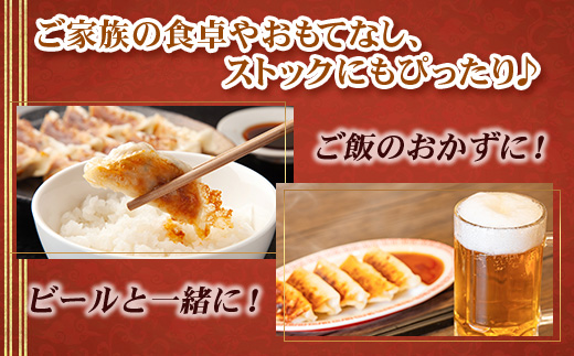 《リピーター続出！》佐多の田中肉屋 ニンニクたっぷりやみつき餃子 120個（12個入り×10パック） 餃子のタレ付き TA-402 | ぎょうざ 餃子 ギョウザ 豚肉 ひき肉 にんにく スタミナ餃子 焼くだけ 簡単 小分け 大容量 手作り お惣菜 おかず 冷凍 鹿児島県 南大隅町 田中精肉店