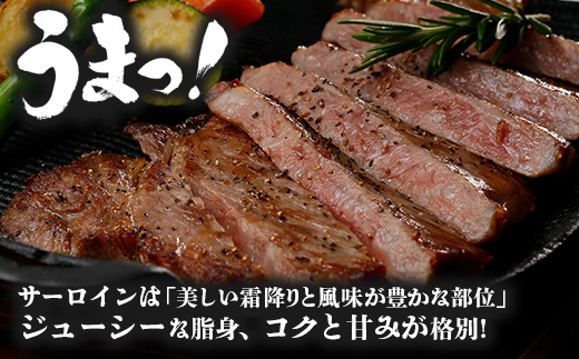 【鹿児島黒牛】サーロインステーキ 1kg JA-402 | 国産 国産牛 鹿児島県 牛肉 黒牛 黒毛和牛 和牛 サーロイン ステーキ 冷凍 南大隅町 JA鹿児島きもつき