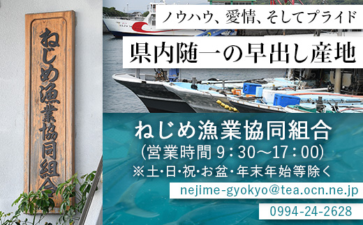 【着日指定可】<2026年7月～9月配送不可> 鹿児島県 ねじめ黄金カンパチ 1尾 約3.0kg台 (3.0～3.9kg) JF-501 | 魚 直送 養殖 根占 さかな かんぱち 漁師 刺身 寿司 鹿児島県 南大隅町 漁業協同組合ねじめ支所