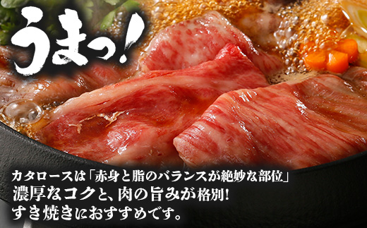 ã鹿å
å³¶é»çãã«ã¿ããŒã¹ããããã»ããïŒçŽ900gïŒJA-501 | åœç£ åœç£ç 鹿å
å³¶ç çè é»ç 黿¯åç åç è©ããŒã¹ ã¹ã©ã€ã¹ 赀身 ãããã å·å å倧é
çº JA鹿å
å³¶ããã€ã