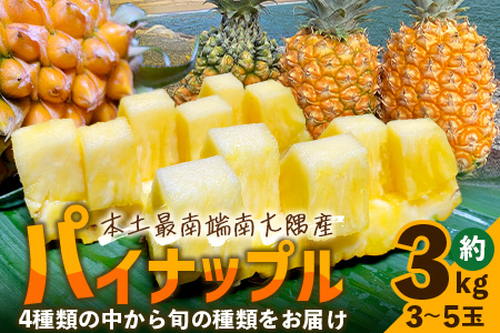 【数量限定！】国産パイナップル　約3ｋg（3～5玉）～なか農園おまかせセット～ NK-001 ｜パイナップル パイン フルーツ 果物 くだもの 数量限定 産地直送 新鮮 旬 ハワイ種 ピーチパイン ゴールドダイヤモンド ボゴール なか農園 鹿児島県 南大隅