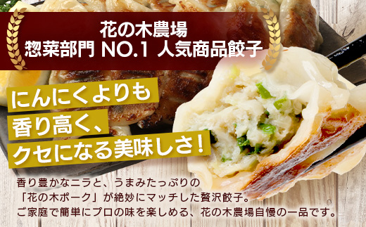 花の木農場【ニラ餃子】50個 HK-502｜ぎょうざ ギョーザ ギョウザ 餃子 揚げ餃子 スープ餃子 冷凍餃子 ニラ キャベツ 肉 豚肉 冷凍 冷凍食品 惣菜 弁当 おかず 工場直送 簡単調理 国産 厳選 ノウフク 第2花の木ファーム