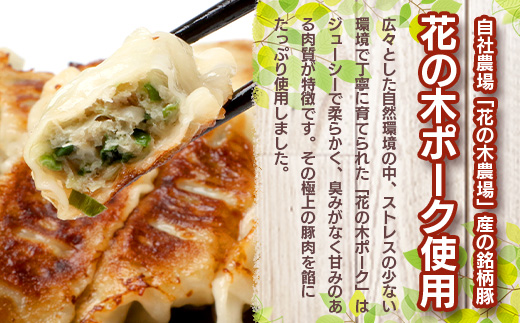花の木農場【ニラ餃子】50個 HK-502｜ぎょうざ ギョーザ ギョウザ 餃子 揚げ餃子 スープ餃子 冷凍餃子 ニラ キャベツ 肉 豚肉 冷凍 冷凍食品 惣菜 弁当 おかず 工場直送 簡単調理 国産 厳選 ノウフク 第2花の木ファーム