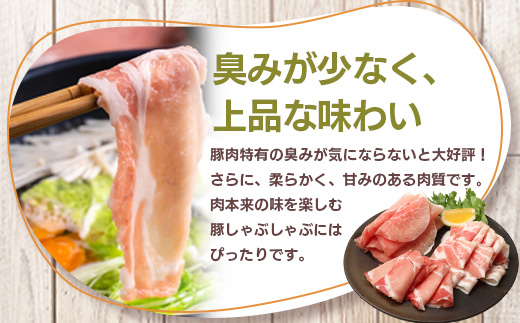 花の木農場【ニラ餃子】50個 HK-502｜ぎょうざ ギョーザ ギョウザ 餃子 揚げ餃子 スープ餃子 冷凍餃子 ニラ キャベツ 肉 豚肉 冷凍 冷凍食品 惣菜 弁当 おかず 工場直送 簡単調理 国産 厳選 ノウフク 第2花の木ファーム