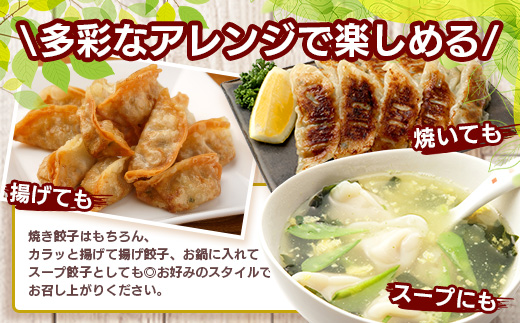 花の木農場【ニラ餃子】50個 HK-502｜ぎょうざ ギョーザ ギョウザ 餃子 揚げ餃子 スープ餃子 冷凍餃子 ニラ キャベツ 肉 豚肉 冷凍 冷凍食品 惣菜 弁当 おかず 工場直送 簡単調理 国産 厳選 ノウフク 第2花の木ファーム