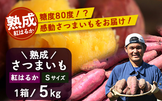 【先行予約：11月下旬配送～】熟成 さつまいも 紅はるか 5kg Sサイズ (おすそ分け袋／美味しい焼き芋の焼き方 説明書付き） FR-212 ｜ 秋の味覚 2026年秋収穫 貯蔵 長期熟成 糖化 さつまいも サツマイモ 感動サツマイモ 焼き芋 べにはるか 小ぶり 野菜 ねっとり 濃厚 おやつ おかず お弁当 煮物 芋ごはん 味噌汁 産地直送 鹿児島県 南大隅町 株式会社フォレスト