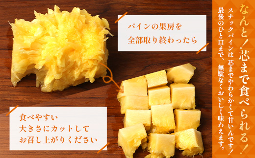 【2027年先行予約・数量限定】パイナップル/ボゴール種 (約800g×4玉) DS-4｜パイン パイナップル パインアップル フルーツ ボゴールパイン スナックパイン 産地直送 送料無料 鹿児島県 南大隅町 株式会社デラセーラ