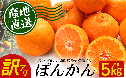 【訳あり】※先行予約・数量限定※ 南大隅の太陽浴びた甘くて・おいしい ぽんかん 約5kg≪2027年1月中旬以降発送予定≫ ID-2｜訳あり 訳アリ ぽんかん ポンカン 柑橘 カンキツ 柑橘類 詰め合わせ 産地直送 おすすめ 人気 南大隅町