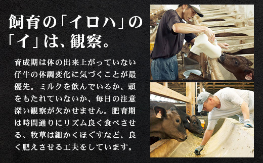 鹿å
å³¶çç£ åå·é»ç ééãããŒã¹ã¹ã©ã€ã¹ çŽ500g NS-507 | ç 黿¯åç è ãè ãã©ã³ãç ééã ãµã· ããŒã¹ ããã¶ããã¶ ããçŒã ãããã çã ããããã å·å ãã¡ãã èŽ
æ²¢ ç¹å¥ ãããŠãªã èŽç ã®ãã ç£å°çŽé 鹿å
å³¶ç å倧é
çº åå·èŸ²å Ž
