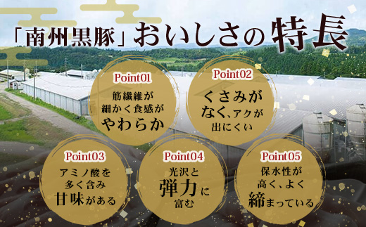 【定期便全3回】かごしま黒豚熟成生ハム４種食べ比べ セット（約540g）NS-519 | 国産 肉 お肉 豚肉 豚 にく ぶた 生ハム 最高峰 熟成ハム コッパ パンチェッタ コッホサラミ スパイス サラミ 冷蔵 詰め合わせ 産地直送 ギフト プレゼント 贈り物 鹿児島県 南大隅町 南州農場