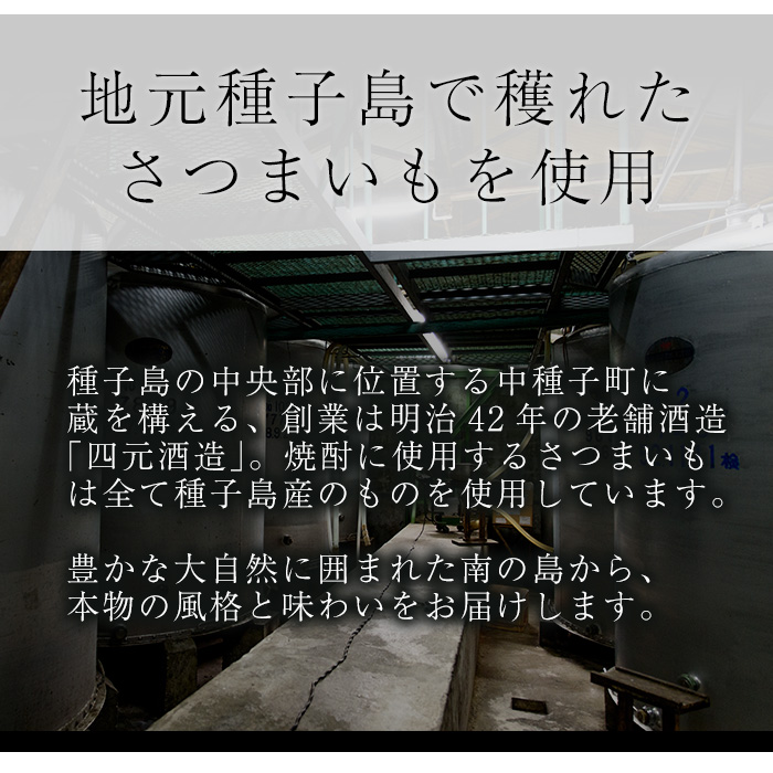 n190 四元酒造「島乃泉(通常ラベル)」(360ml×30本)