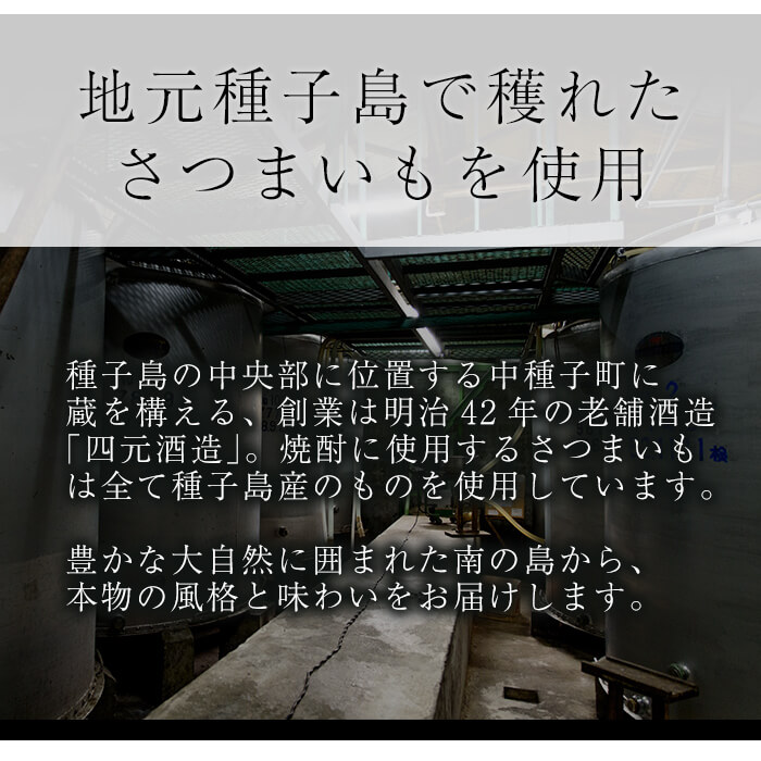 n227-2 グラス付きギフトセットSG「島乃泉(900ml)・島黒(900ml)・グラス(2個)」 鹿児島 種子島 芋焼酎 いも焼酎 焼酎 グラス アルコール ご当地 お酒 宅飲み 家飲み ギフト 贈り物 ソーダ割 水割り 四元酒造 【四元商店】