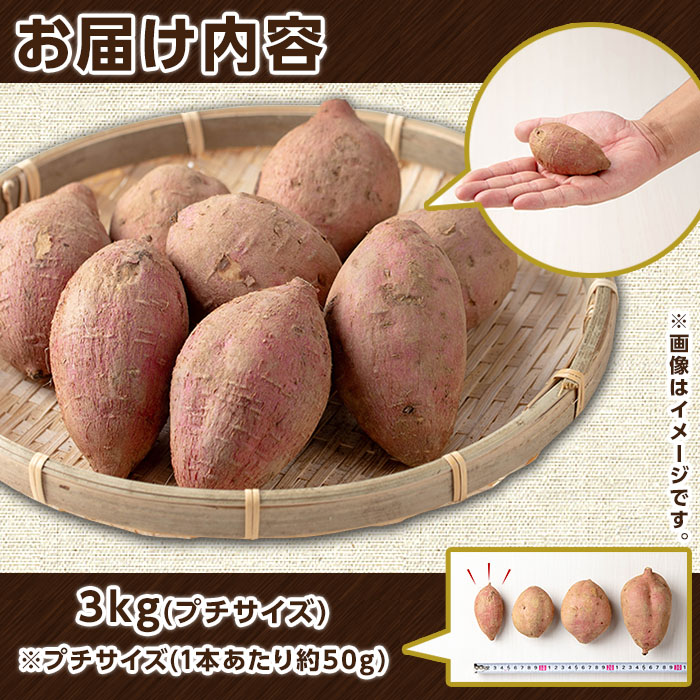 n224 数量限定！種子島産 安納芋(プチサイズ3kg) 国産 安納芋 紅 種子島 芋 イモ いも さつまいも さつま芋 安納いも セット 詰め合わせ スイーツ 野菜 【種子島安納大地】