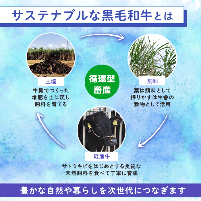 n289 梶屋牛 肩ローススライス(約300g) 黒毛和牛 国産 九州産 鹿児島県産 牛肉 肉 ビーフ ロース すき焼き肉 すきやき すき焼肉 しゃぶしゃぶ しゃぶしゃぶ肉 天然飼料 サステナブル 和牛 お祝い 【株式会社Calfields】