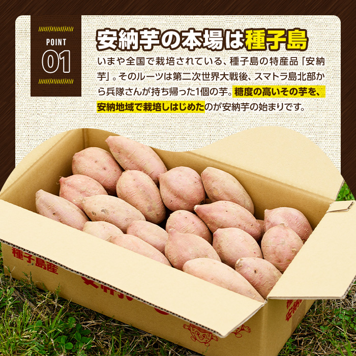 n079 ＜期間限定・数量限定！＞種子島産 安納芋(10kg)【さんこうファーム】