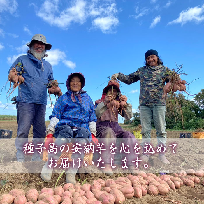 n243 しっとり安納芋の焼き芋(250g×6袋)【中園久太郎商店】