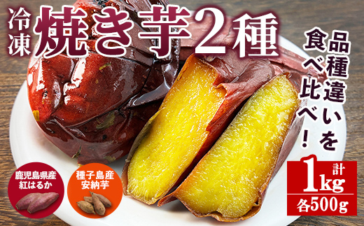 n256 数量限定!「鹿児島県産紅はるかの冷凍焼き芋」と「種子島産安納芋の冷凍焼き芋」食べ比べセット(合計1kg) 国産 さつまいも さつま芋 安納芋 安納いも サツマイモ べにはるか おやつ [ファーム工房]