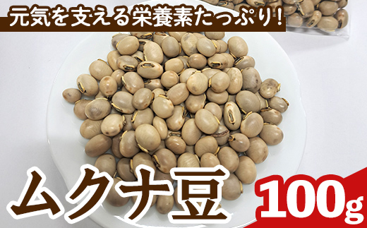n427 数量限定！種子島産 ムクナ豆(100g) 国産 八升豆 ハッショウマメ 豆 マメ 自然栽培 野菜 【永濱農園】