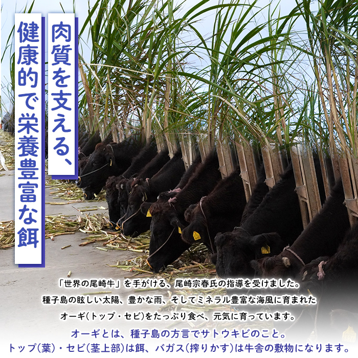 n289 梶屋牛 肩ローススライス(約300g) 黒毛和牛 国産 九州産 鹿児島県産 牛肉 肉 ビーフ ロース すき焼き肉 すきやき すき焼肉 しゃぶしゃぶ しゃぶしゃぶ肉 天然飼料 サステナブル 和牛 お祝い 【株式会社Calfields】