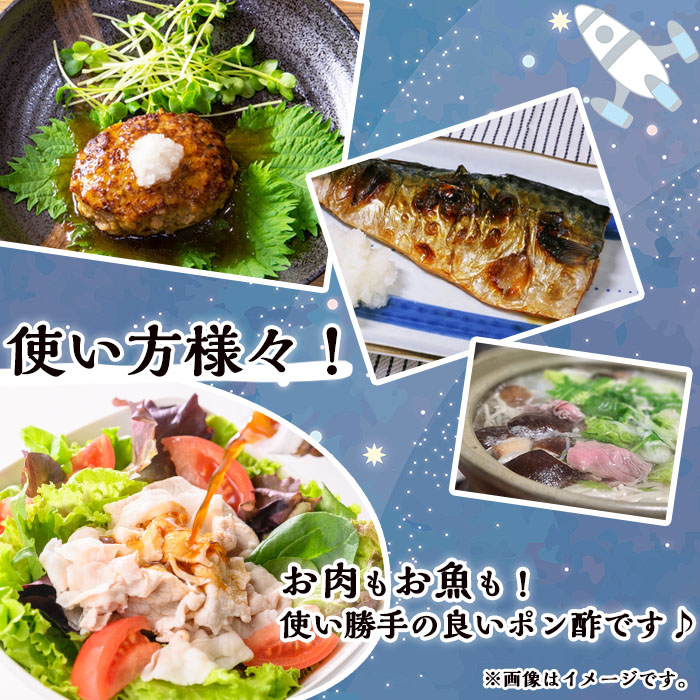 n304 安納芋焼肉のたれ・だいだい実のなるぽんずセット(合計2本：各200ml×1本)【スカイショップ銀河】