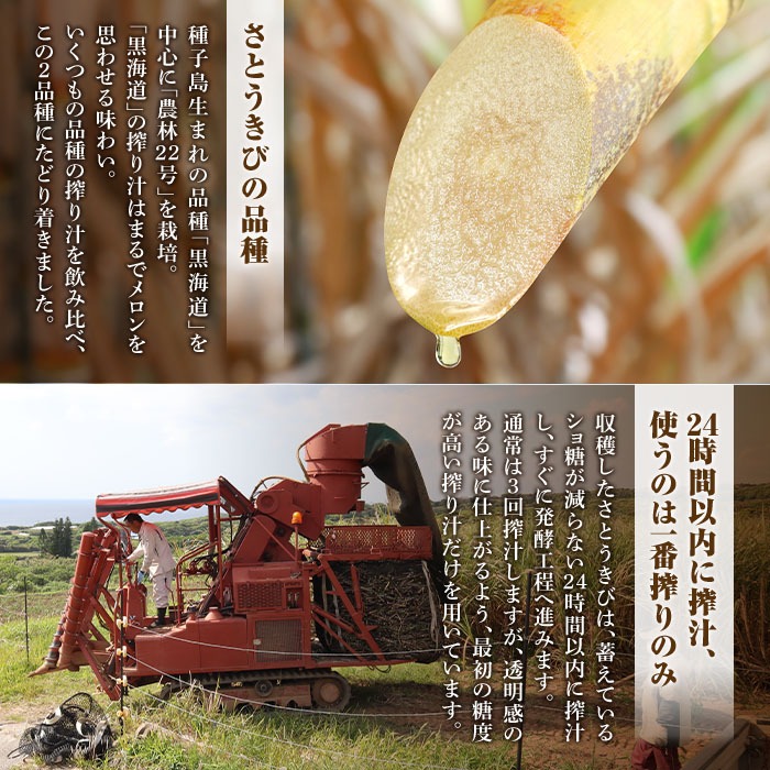 n417 種子島産の厳選さとうきび使用！国産クラフトラム「ARCABUZ BLANC NATURAL STRENGTH(アーキバス ブラン ナチュラルストレングス)」(700ml×2本) 鹿児島 種子島 ホワイトラム ラム モヒート カクテル オーガニック お酒 洋酒 【大東製糖種子島株式会社】