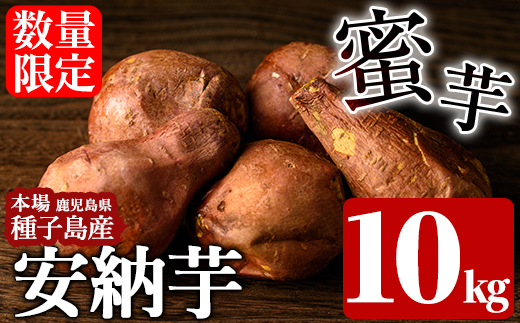 n080 ＜先行予約受付中！2026年10月中旬頃より順次発送予定＞数量限定！種子島産 安納芋(10kg) 国産 安納芋 本場 種子島 芋 イモ いも さつまいも さつま芋 安納いも 野菜 【種子島安納株式会社】