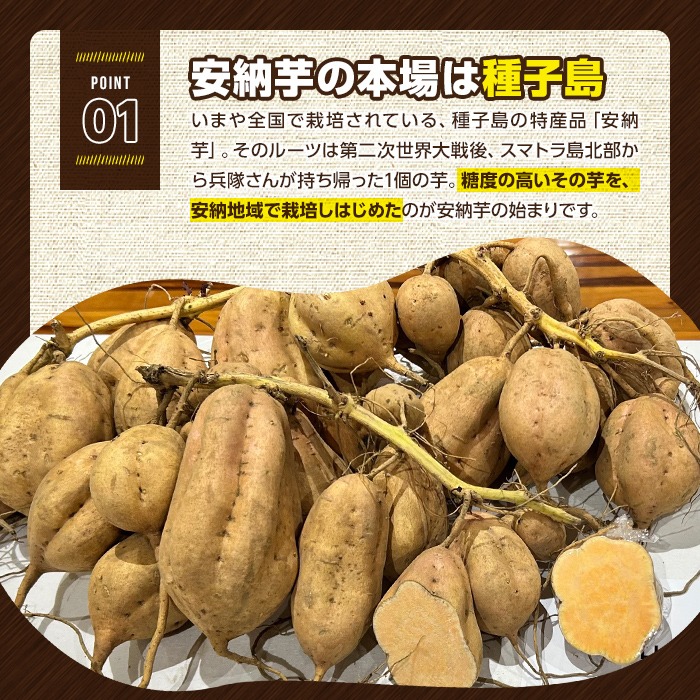 n331 ＜期間限定！＞種子島産 安納こがね(5kgセット) 国産 安納芋 黄金本場 種子島 芋 イモ いも さつまいも さつま芋 安納いも 野菜 【なかたね農産】