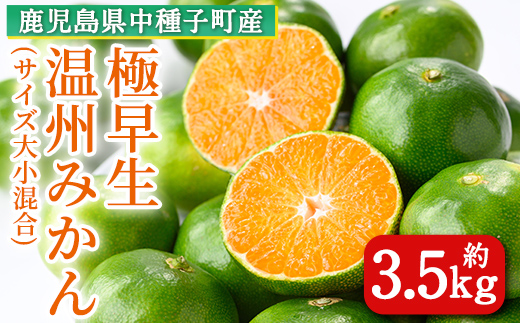 n132 【数量限定】＜先行予約受付中！2026年9月上旬～10月下旬頃に順次発送予定＞鹿児島県種子島産！極早生温州みかん(約3.5kg) 国産 蜜柑 ミカン 柑橘 サイズ大小混合 果物 フルーツ くだもの 旬 【提果樹園】