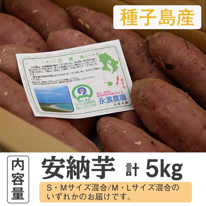 n176 数量限定！種子島産 安納芋(5kg)【永濱農園】