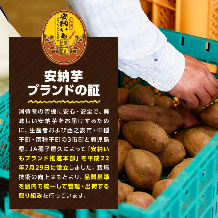 n148 ＜期間限定・数量限定！＞種子島産 安納芋(5kg)【種子島安納株式会社】