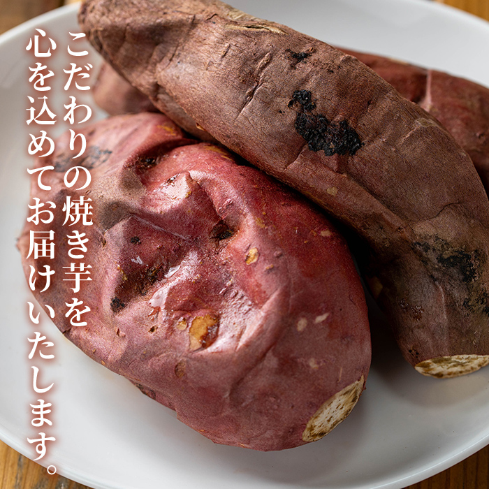 n397 æ°ééå®ïŒã鹿å
å³¶çç£çŽ
ã¯ããã®å·åçŒãèããšãçš®åå³¶ç£å®çŽèã®å·åçŒãèãé£ã¹æ¯ã¹ã»ãã(åèš2kg) åœç£ ãã€ãŸãã ãã€ãŸè å®çŽè å®çŽãã ãµããã€ã¢ ã¹ã«ã¯ãã ãã〠ããã¡ãŒã å·¥æ¿ã