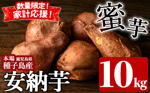 n080-n ＜先行予約受付中！2026年10月中旬頃より順次発送予定＞数量限定！種子島産 安納芋(10kg) 生活応援 家計応援 国産 安納芋 本場 種子島 芋 イモ いも さつまいも さつま芋 安納いも 野菜 【種子島安納株式会社】