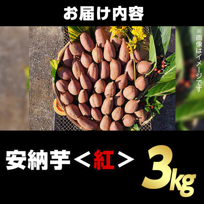 n384 æééå®ïŒçš®åå³¶ç£ å®çŽèïŒçŽ
ïŒ(3kg) åœç£ å®çŽè çŽ
çš®åå³¶ è ã€ã¢ ãã€ãŸè å®çŽãã éè çŒãè çŒè ããããå±ã