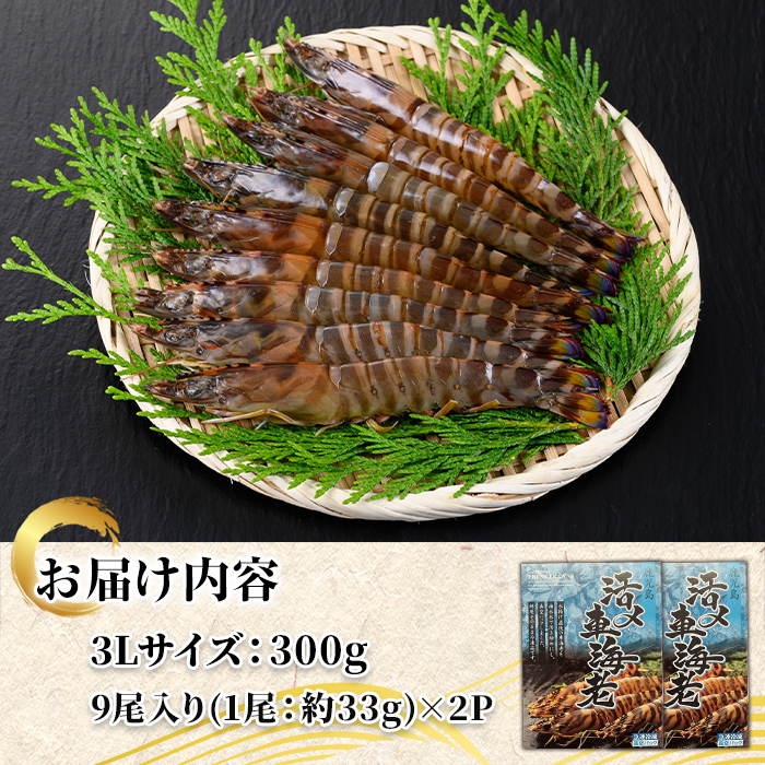 n431 鮖ソ蜈仙ウカ逵檎肇シ∵エサ縺阪蜀キ蜃崎サ頑オキ閠(3L繧オ繧、繧コ繝サ險育エ600g) 蛹也イァ邂ア蜈・繧奇シ 縺上k縺セ縺医ウ 豬キ閠 豬キ魄ョ 豬キ逕」迚ゥ 蝗ス逕」 荵晏キ樒肇 諤・騾溷キ蜃 繧ョ繝輔ヨ 霆頑オキ閠 逵溽ゥコ繝代ャ繧ッ 鬢頑ョ 蜀キ蜃 縲占サ頑オキ閠∵律譛ャ譬ェ蠑丈シ夂、セ縲