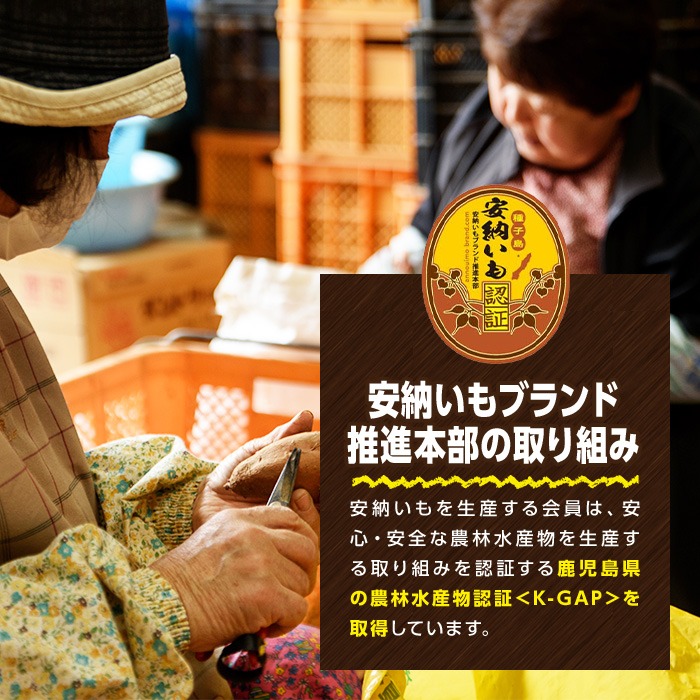 n331 ＜期間限定！＞種子島産 安納こがね(5kgセット) 国産 安納芋 黄金本場 種子島 芋 イモ いも さつまいも さつま芋 安納いも 野菜 【なかたね農産】