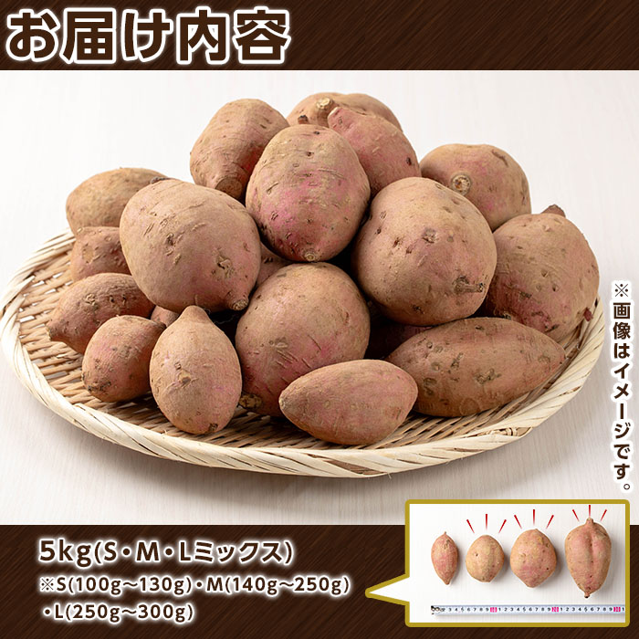 n223 æ°ééå®ïŒçš®åå³¶ç£ å®çŽè(5kg) åœç£ å®çŽè çŽ
çš®åå³¶ è ã€ã¢ ãã ãã€ãŸãã ãã€ãŸè å®çŽãã ã»ãã è©°ãåãã ã¹ã€ãŒã éè ãçš®åå³¶å®çŽå€§å°ã