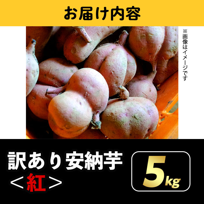 n275 《訳あり》期間・数量限定！種子島産 安納芋＜紅＞(5kg)【うずえ屋】