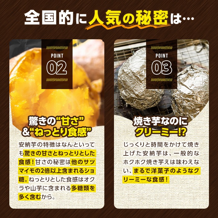 n331 ＜期間限定！＞種子島産 安納こがね(5kgセット) 国産 安納芋 黄金本場 種子島 芋 イモ いも さつまいも さつま芋 安納いも 野菜 【なかたね農産】